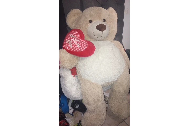 $35 : OSO DE PELUCHE image 1