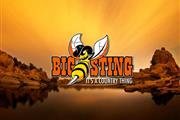 The Big Sting | Country Music en Phoenix