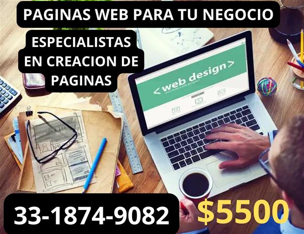 PAGINAS WEB $5000 image 1