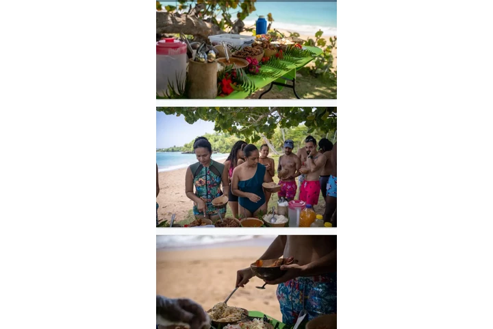 Punta Cana Tourd and Travel image 8