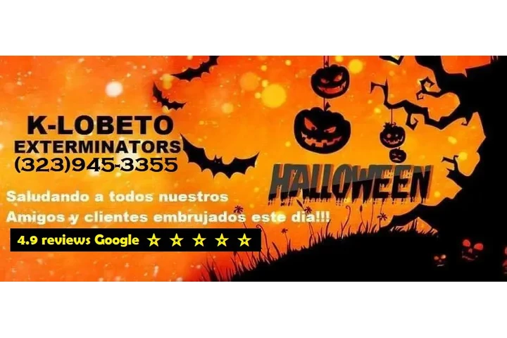 FUMIGACIONES 🎃 🦇 HALLOWEEN.- image 5