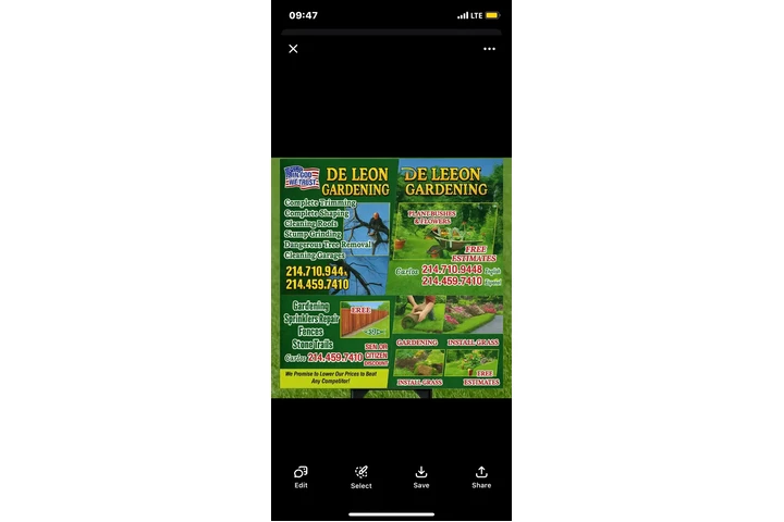 De León tree service image 3