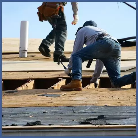 New Roof ? image 1