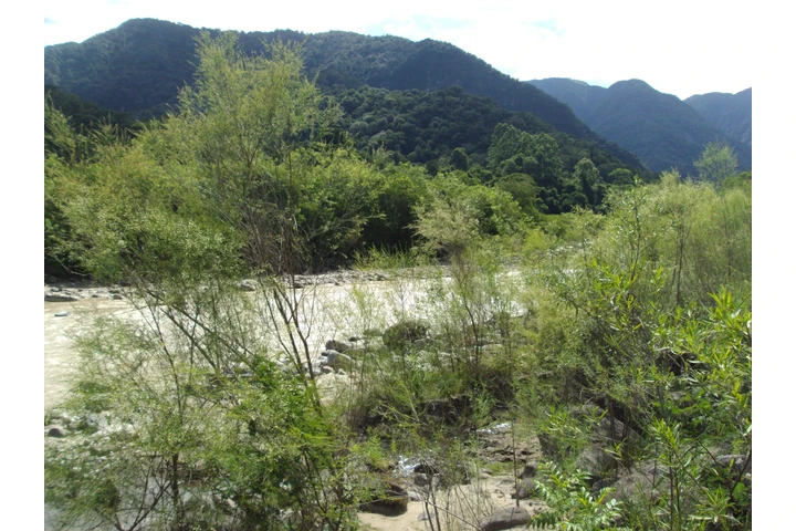 $195000 : OPORTUNIDAD Campo en ARGENTINA image 5
