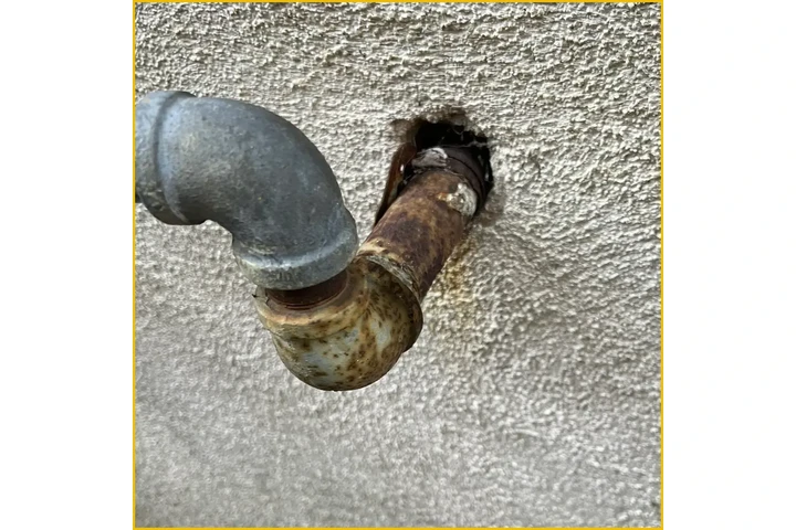 Browny Pest Control image 7