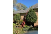 🌲LANDSCAPING SERVICES🌲 thumbnail