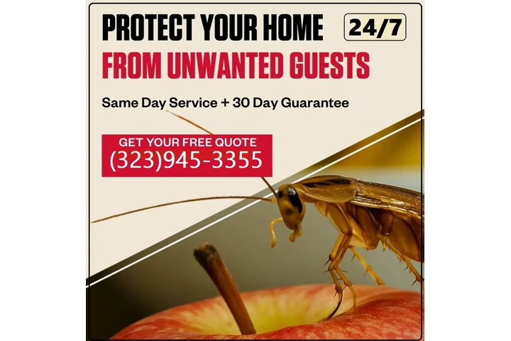 ROACHES CONTROL (323)945-3355. image 2