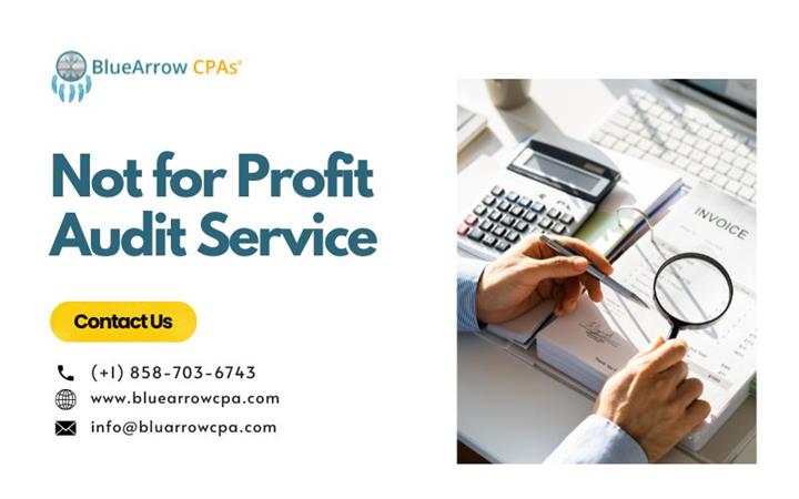 Not for Profit Audit Services image 1