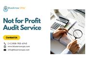 Not for Profit Audit Services