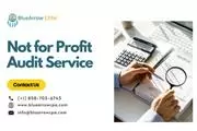 Not for Profit Audit Services en San Diego