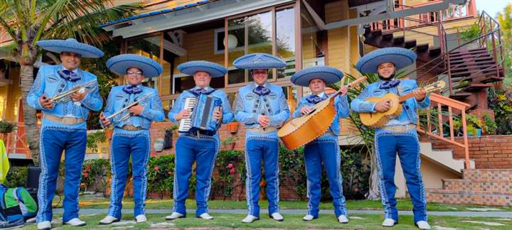 Mariachi en punta cana image 3