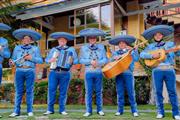 Mariachi en punta cana thumbnail