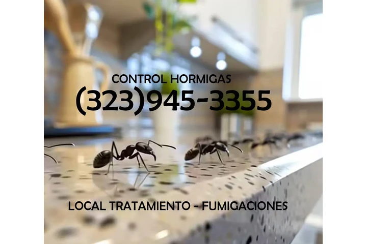" TERMITE & PEST CONTROL.L.A." image 6
