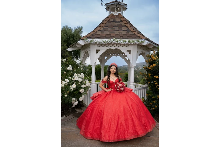 BANQUET HALL,FOTOS & VIDEO PRO image 8