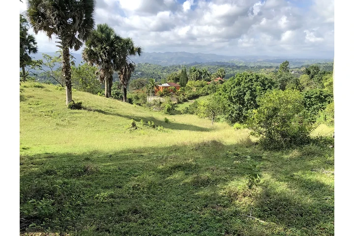 Vendo Finca para proyecto image 3