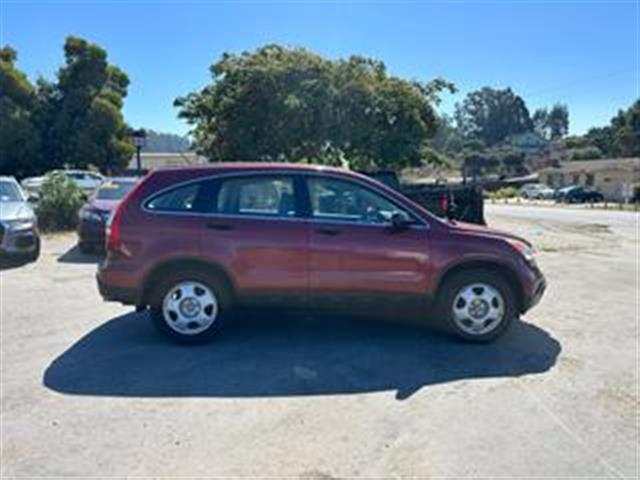 $6999 : 2009 HONDA CR-V image 5