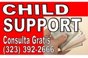 █►DIVORCIO►CUSTODIA►TRADUCCION en Los Angeles