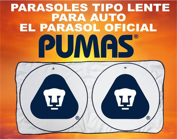 $1 : CUBRE PARABRISAS OFICIAL DEL C image 3