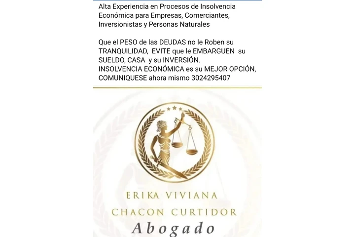 INSOLVENCIA ECONÓMICA image 2