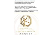 INSOLVENCIA ECONÓMICA thumbnail