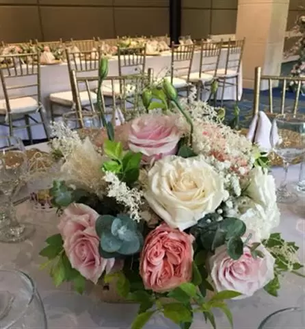 Eventos Marybeb image 6