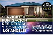 PEST CONTROL SERVICES L.A. thumbnail