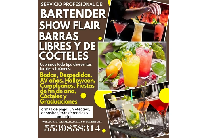 Bartender y barras libres image 1