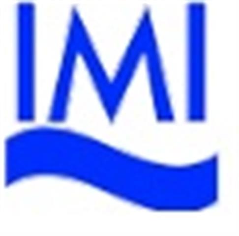 BSC Nautical Science - IMI image 1