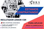 Staffing CSR/Jr. Recruiter en Orange County