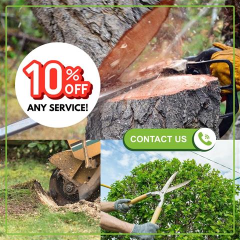 Professional Tree Services! image 2