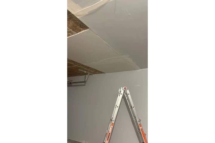 Pintor profesional image 4