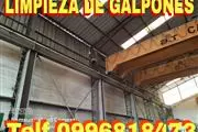 LIMPIEZA DE GALPONES EN QUITO thumbnail