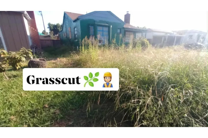 Corte de pasto 🌿👷🏼 image 4