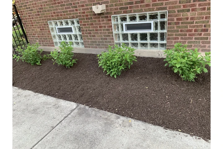 JL outdoor services image 4