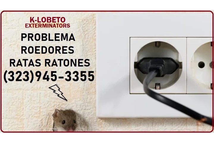 FUMIGATION LOS ANGELES--WINTER image 9