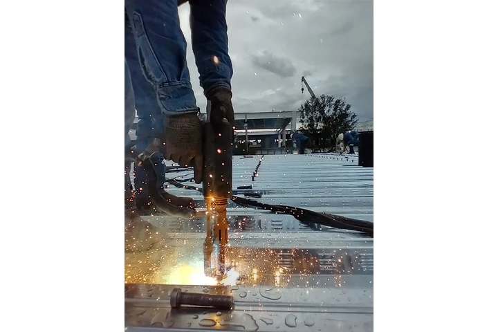 PERNEADORA NELSON EN RENTA image 5