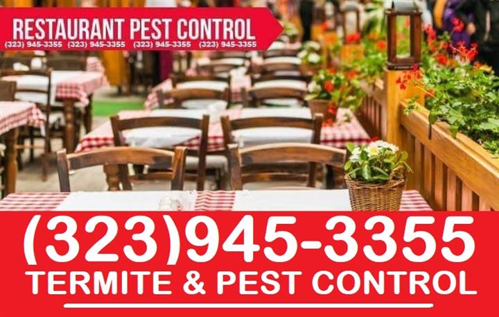 PEST CONTROL SERVICES NEAR ME. image 2