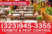 PEST CONTROL SERVICES NEAR ME. thumbnail