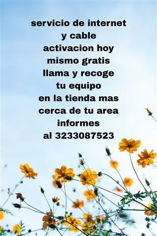 *INTERNET. ACTIVACION FREE* image 1
