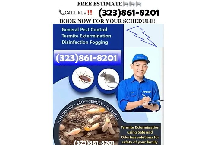 Fumigaciones East Los Angeles. image 7