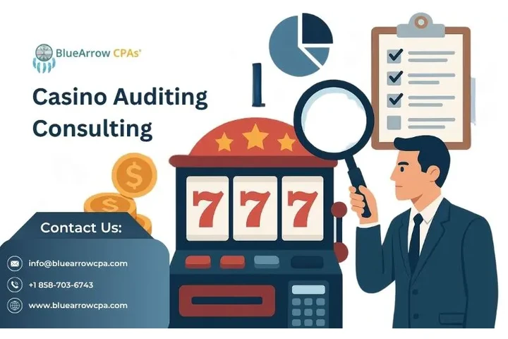 Casino Auditing Consulting image 1