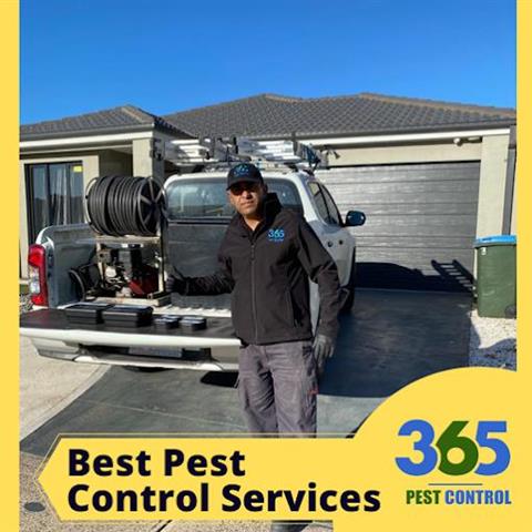 365 Pest Control Melbourne image 2