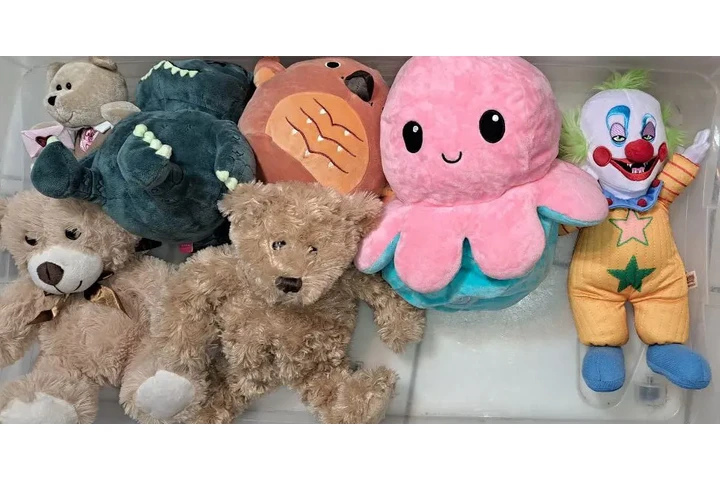$300 : PAQUETE DE 19 PELUCHES DIFEREN image 4