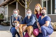 Bethany Family Pet Clinic en Portland