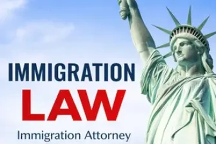 🌐 Immigration Attorney image 1