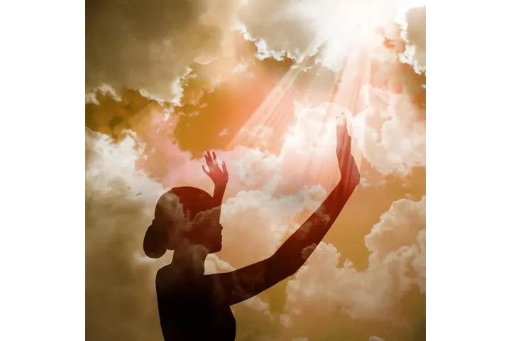 Anciano del Amor image 6