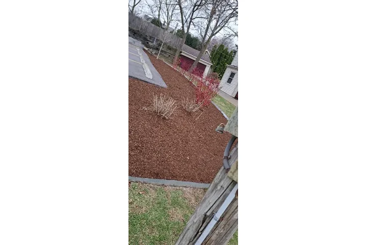 AQ LANDSCAPING SERVICE LLC image 2