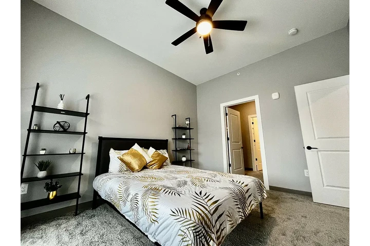 $1300 : House Full Of Love image 4