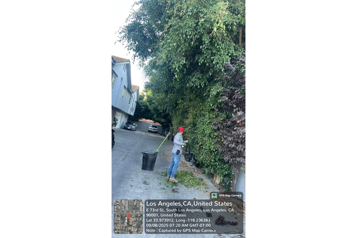 SERVICIO DE JARDINERÍA EN LA image 1