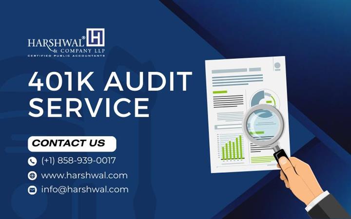 Expert 401k Audit service image 1